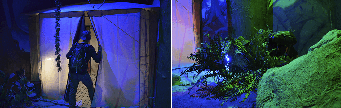 Escape room Amazonas